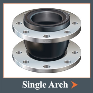 NP 8" x 6" Expansion Joint Flange Type 
